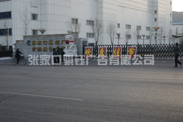 張煙公司節日布景外展 (2)